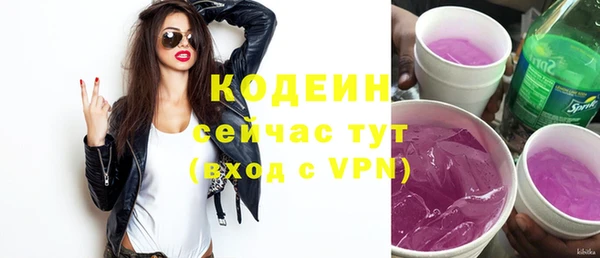 крисы Абаза