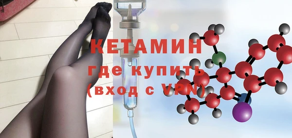 крисы Абаза