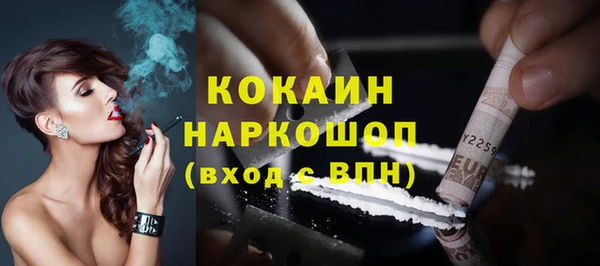 крисы Абаза