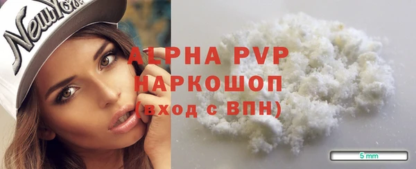 крисы Абаза