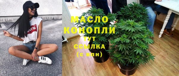 крисы Абаза