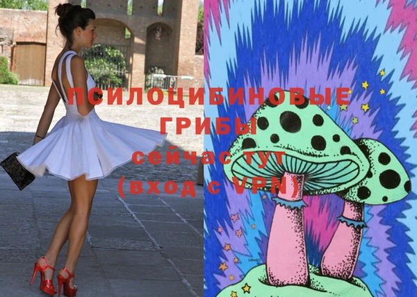крисы Абаза
