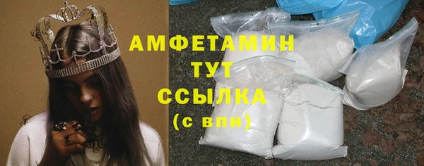 крисы Абаза