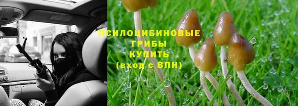 соль ск Абдулино