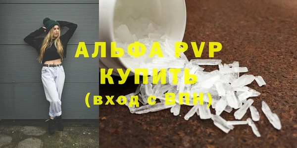 крисы Абаза