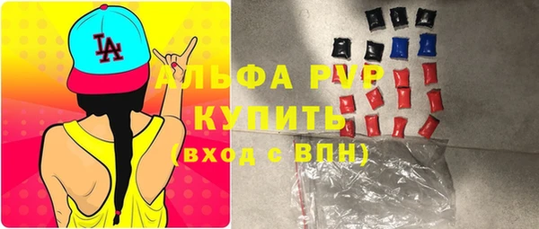 крисы Абаза